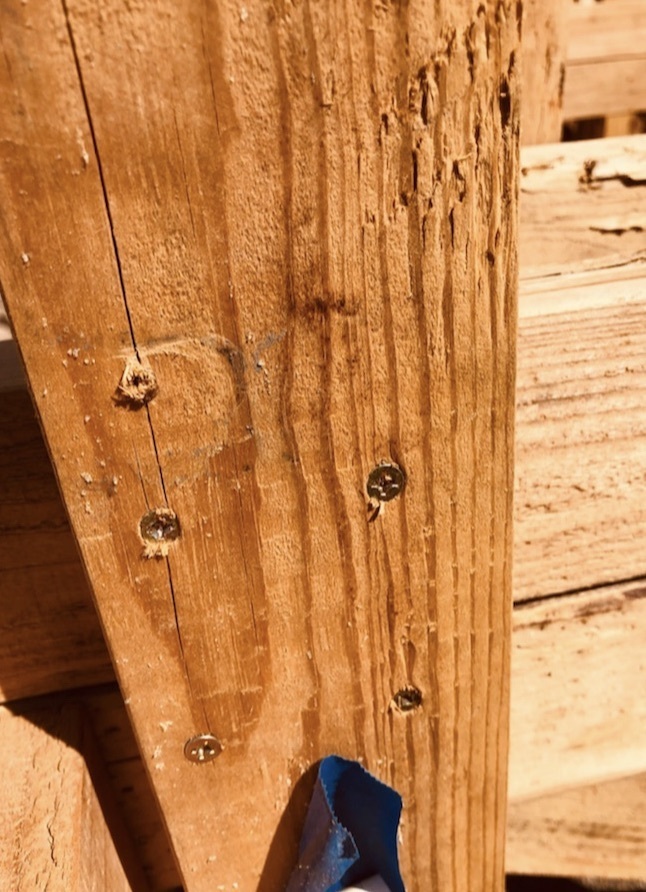 piece of wood with screws